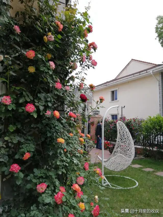 家住别墅是什么样的感觉？插图28