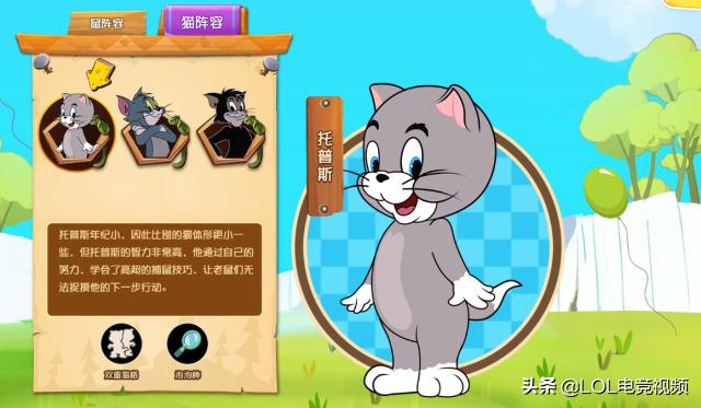 猫比特犬网易:猫的反应速度为什么那么快？