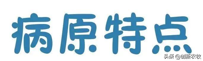 猪拉稀的原因文章:猪拉稀，同时猪粪是铁绣色，有可能是什么原因导致的？该怎么办？