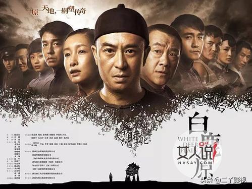 白鹿原票房:《白鹿原》这部电视剧怎么样