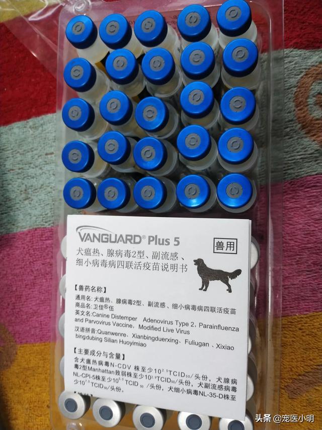 牛羊脑炎疫苗:小狗预防脑炎打什么疫苗？