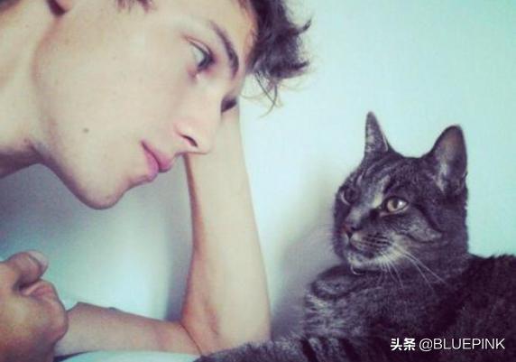 养猫的男人小说:如何看懂喜欢”宠物“的男人？