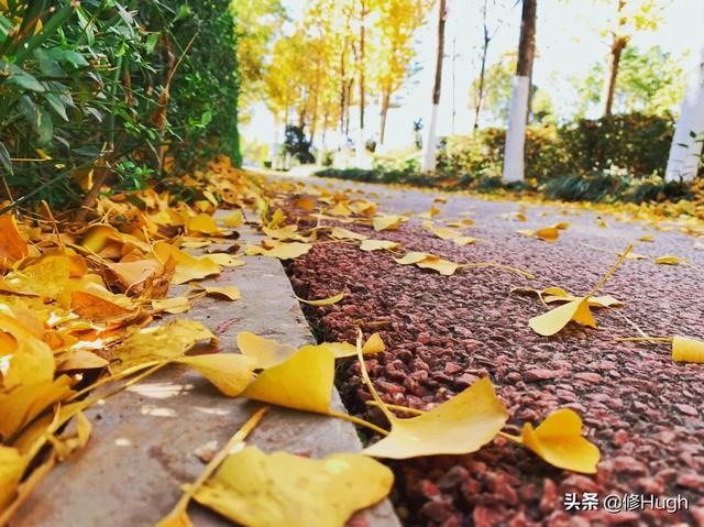 天秤男喜欢哪种类型的女生？