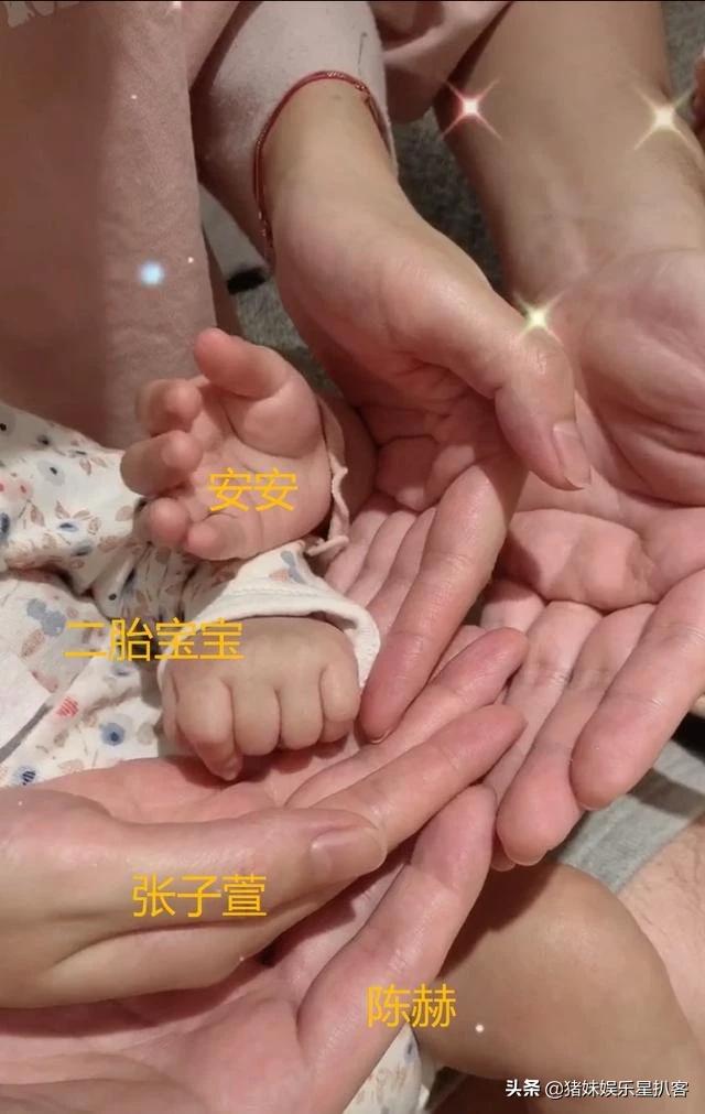 张子萱照片:38岁高圆圆同框33岁张子萱，谁更美？