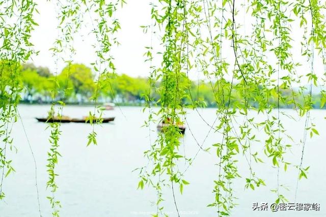 请你再写一句,能够体现山川美可入画的句子？有哪些？