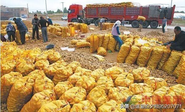 农村农产品滞销,有什么办法能帮到忙？