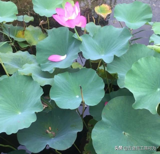 有什么听起来很温馨的歌吗？