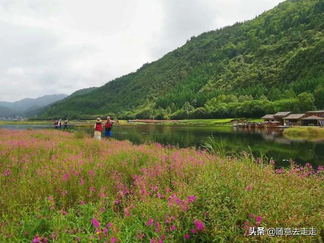 云南观鸟会:高黎贡山的最佳观鸟路线是怎样的？