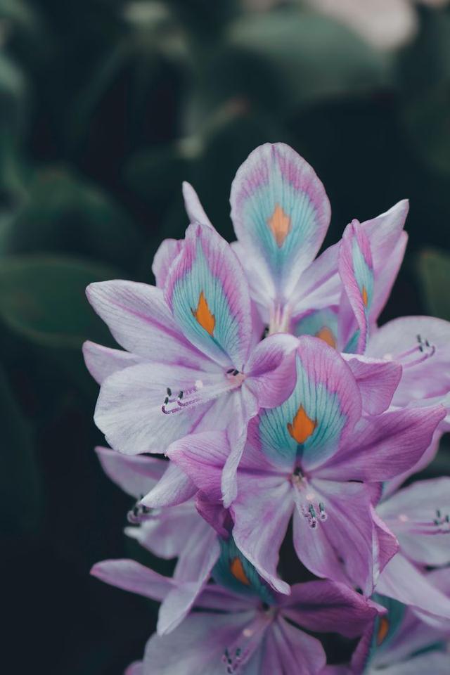 你收藏了哪些好看的手机壁纸(你好世界<a href=https://maguai.com/list/44-0-0.html target=_blank class=infotextkey>动漫</a>手机壁纸)