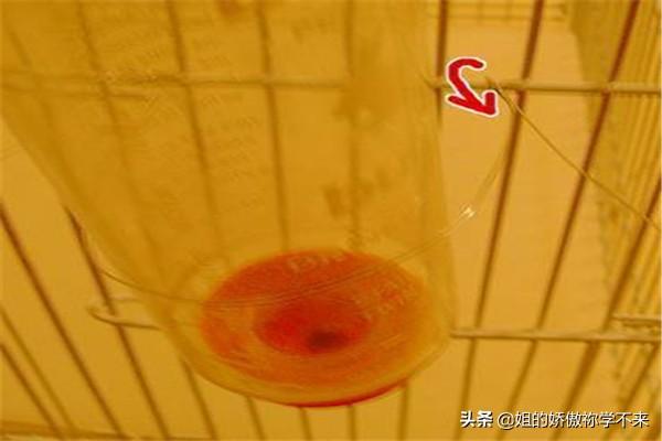 兔用碗式饮水器:怎样让兔用饮水器不漏水？