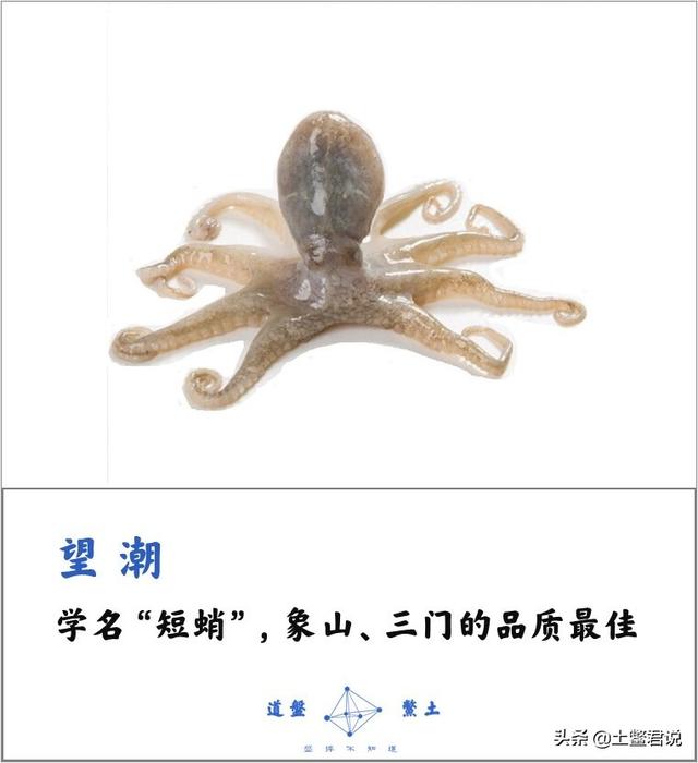 龙趸王:中国四个海哪个海里的海鲜好吃，为什么
