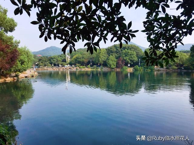 苹果手机哪款拍照效果好？