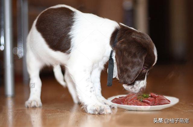 不能多吃的食物是什么，红军长征吃的食物是什么