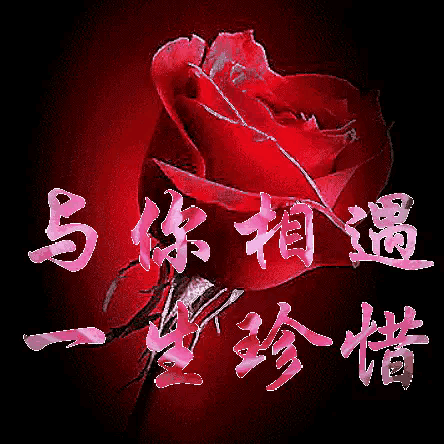 恋爱3年，女方购买了婚房，男方父母主动提出平摊房钱后无故反悔，女方该不该有怨？