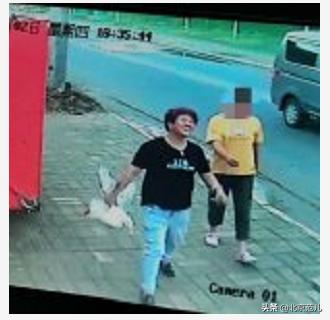 魔幻大陆明星宠物:王珞丹连发两条“找鸭”微博冲上热搜，关于这件事你怎么看？ 魔幻大陆怎么变异宠物