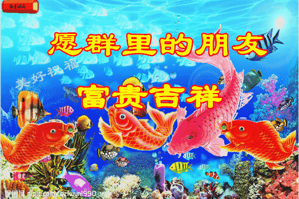 600_400gif 动态图 动图