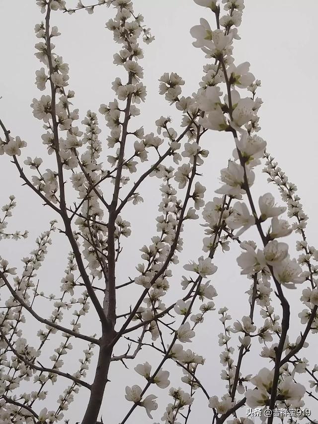 年纪大的老人经常说自己的东西丢了,是一种什么毛病？