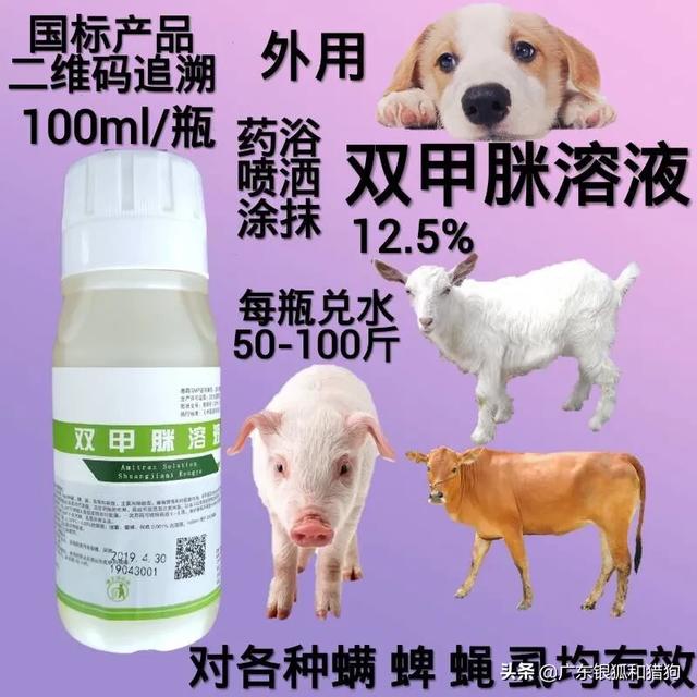 治疗狗狗螨虫的药:狗狗身上有螨虫该怎么办？ 狗狗去螨虫用什么药