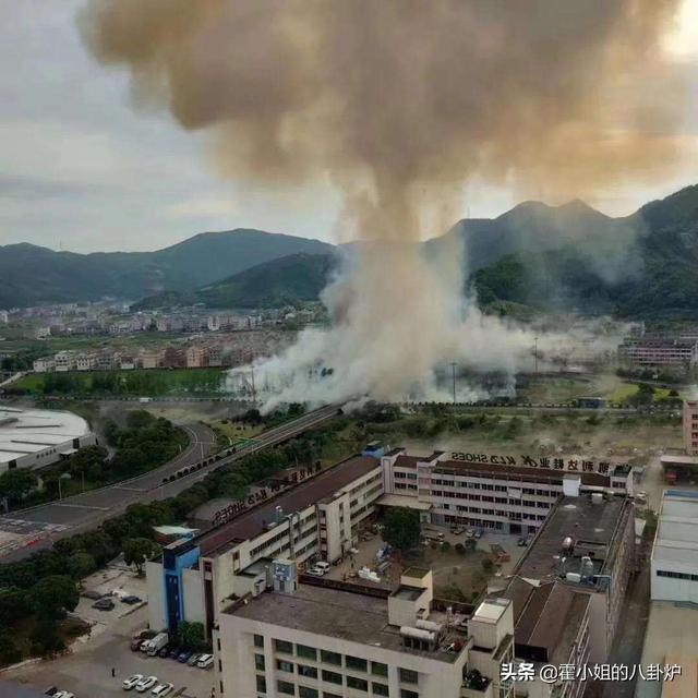 地震搜救犬全部处死搜救:藏獒能灭老虎和狼，为什么没有列为国家保护动物？