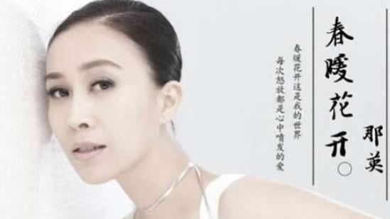 毛宁的老婆:大陆哪些歌手的代表作超过了十首？