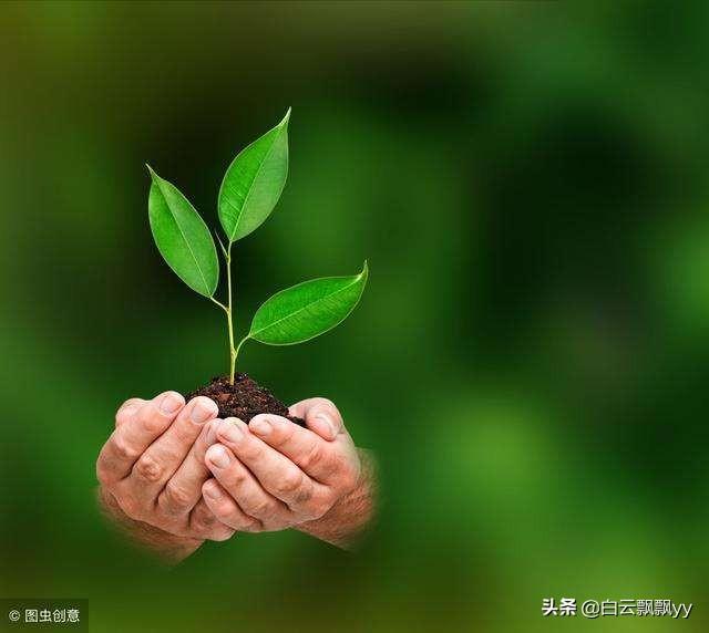 头条问答 没有自己的人生目标 是什么原因 139个回答