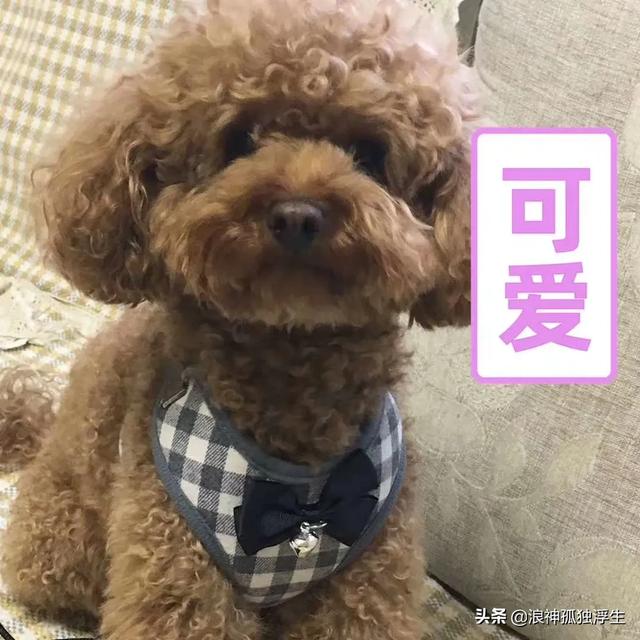 有没有在家赚钱的项目？