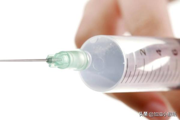 小反刍兽疫:羊感染小反刍疫，才好了几天还会反复感染吗？ 小反刍兽疫的临床症状