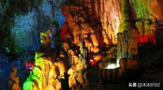 石花图片,中午才晒得到的地方养多肉可以吗？