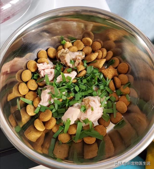 犬蛔虫病怎么用药物:如何给狗狗正确的体内驱虫？