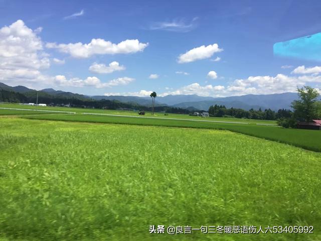 如何看待辛有志的成功？