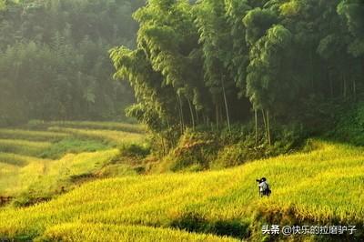 2021年国庆节去哪里旅行比较好？