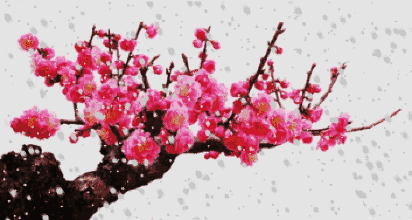 马上就春节了，有什么好的拜年祝福语(鼠年春节拜年祝福语)