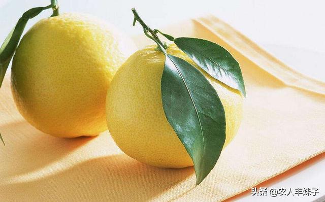 头条问答 柚子树的嫁接方法及时间分别是怎样的 13个回答