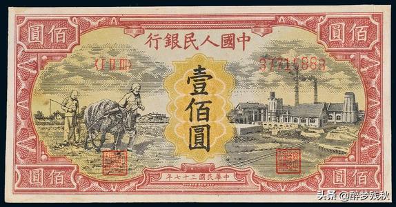 秋田犬币100倍:如果在高速路上你发现路上有一张100元，你会停车下来捡吗？