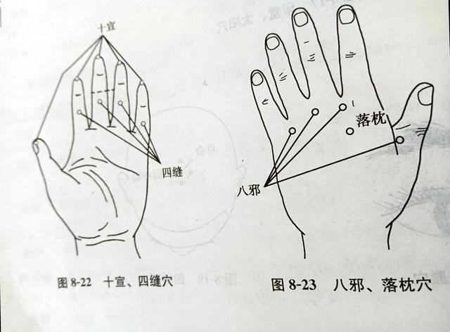 五指如何对应五脏？