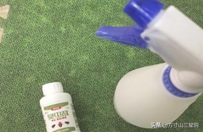 怎样消灭跳蚤:怎样消灭跳蚤彻底 家里有跳蚤，怎，么有效的消灭跳蚤？