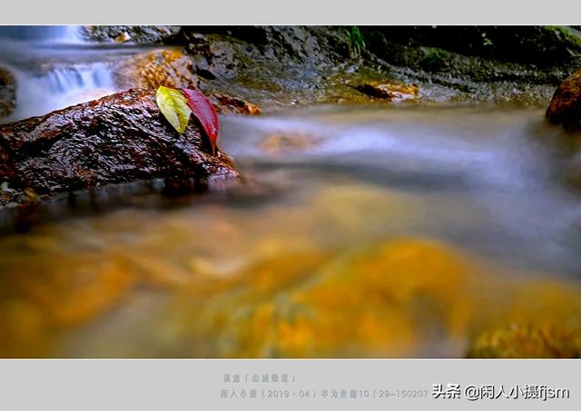 使用手机拍摄，使用“前景”有什么技巧