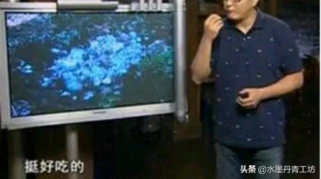 中国未解之谜电视节目，我国历史上还有哪些未解之谜