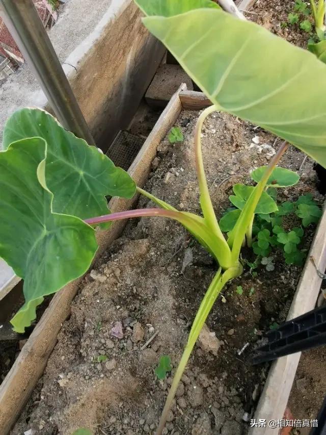 一看就暖心的头像:有没有类似的治愈系图片，在你不开心的时候看到事会很暖心？
