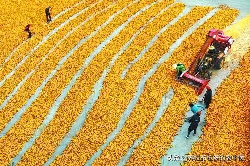 美国 耐威克 主粮:精选国货耐威克犬主粮 假如美国疫情控制不住大爆发，对我国的粮食有没有影响？