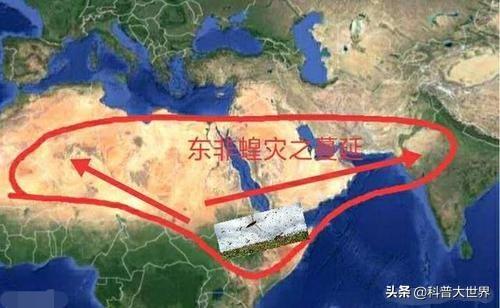 唐太宗吞蝗:古代有很多蝗灾，为什么现在很少有了？