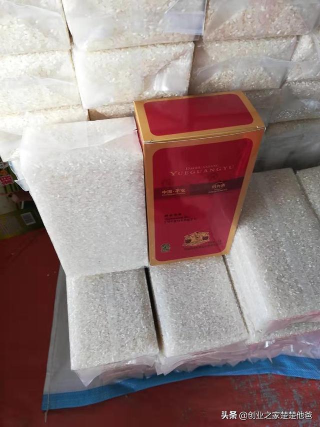 秋田蕗种植技术:在农村种植水稻，哪个品种产量高，米饭又好吃？