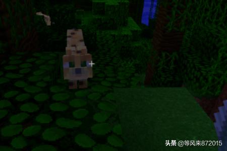 野猫驯养法txt资源:Minecraft我的世界野猫怎么驯服？