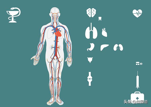 人的正常体温范围:体温检测多少度是正常 疫情目前，体温多少要警惕？