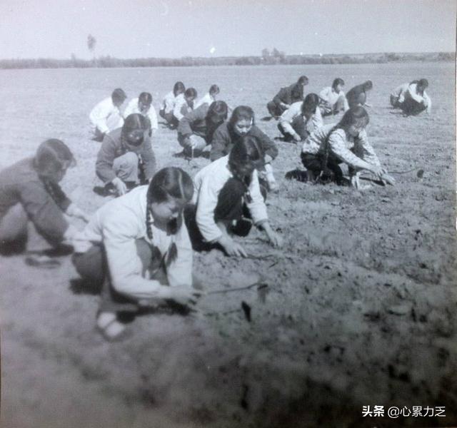 头条问答 在农村很多人都有绰号 你有没有 叫什么 13个回答