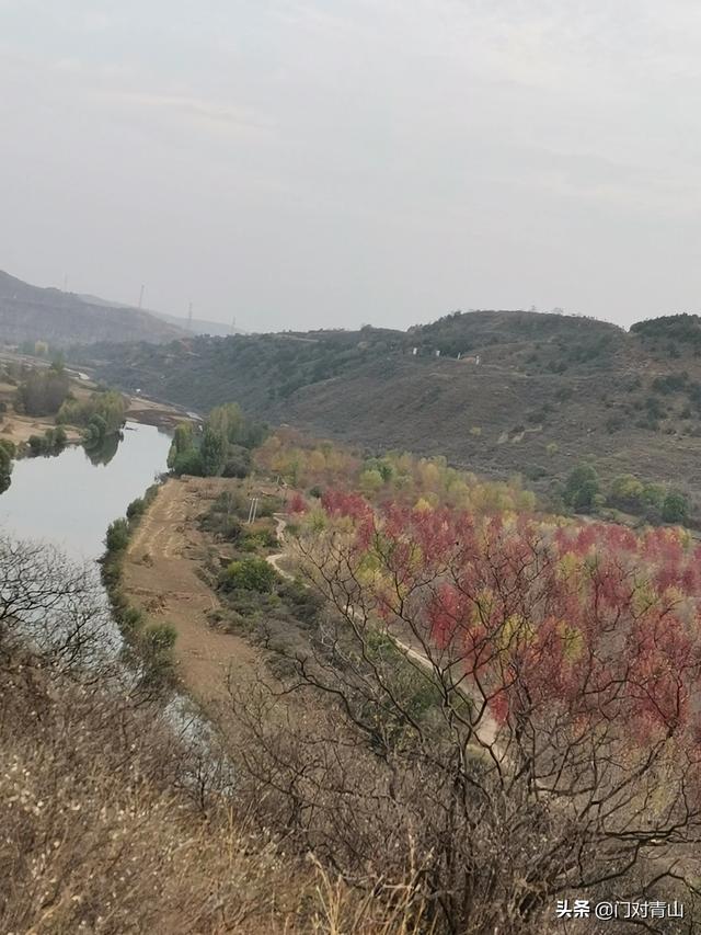 辽宁6岁女童遭亲妈及其男友虐待,这样的亲妈是否存在什么精神问题？孩子的心理会产生哪些问题？
