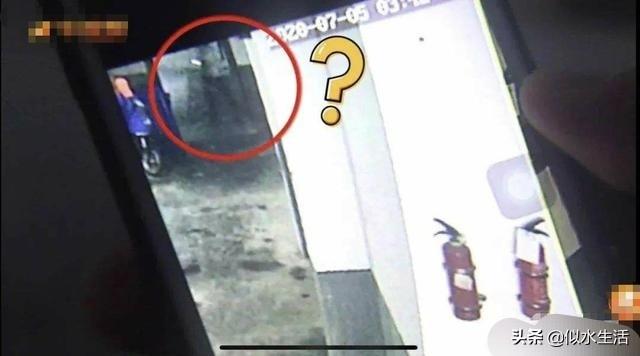 女警犬传说五部曲:为啥很多人认为来女士的丈夫有问题呢？大家来说说各自的理由吧？