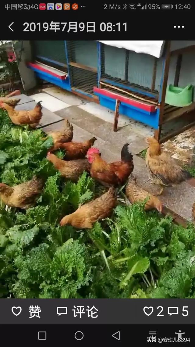 为什么有钱人都住一楼,为什么住一楼的都说一楼最不好？