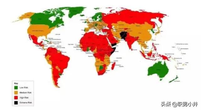 冈比亚鼠:如果地球上的老鼠全部灭绝会怎样？