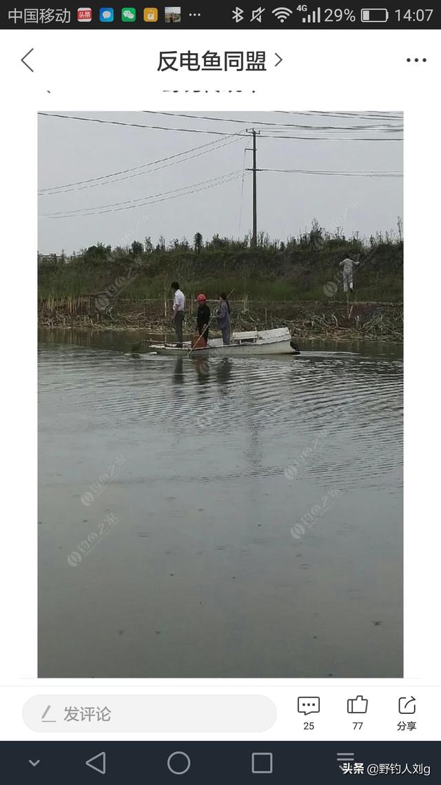 哪里能捕到斑鰶鱼:中国最好吃的鱼是什么鱼？
